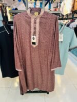 New Collection Premium Panjabi Code(2026-15) - Image 2