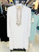 New Collection Premium Panjabi Code(2026-16) - Image 2