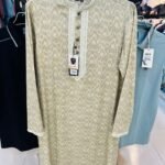 New Collection Premium Panjabi Code(2026-21)